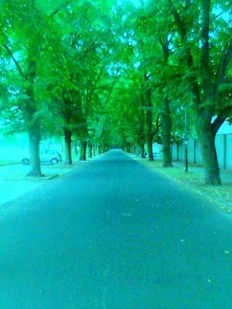 Park :)