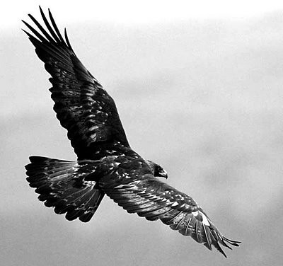 Freedom...!!!