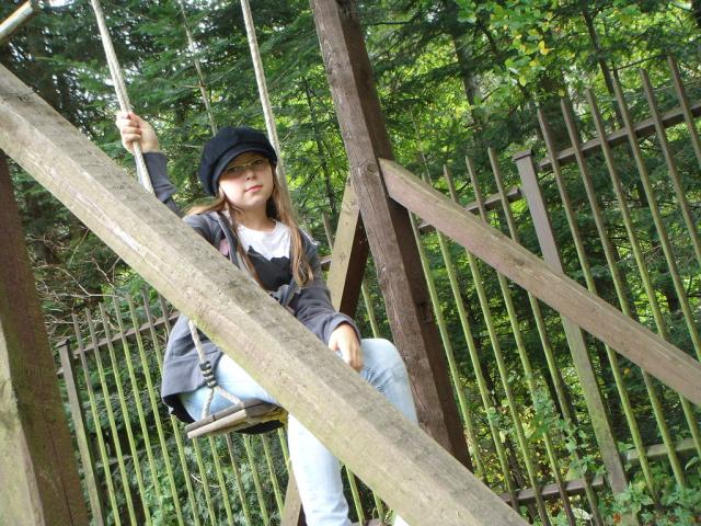 Wpis landrysiax3