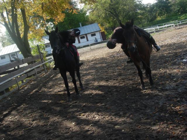 Mary&Me :**