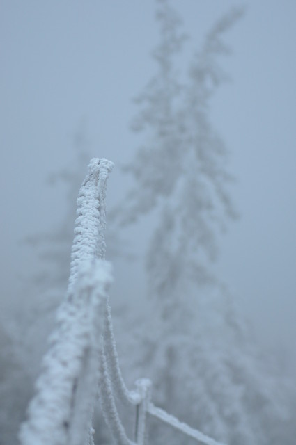Zima.