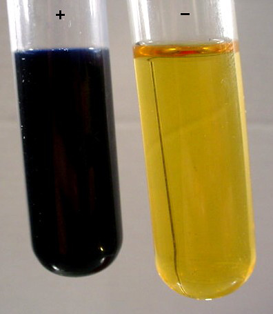 science
