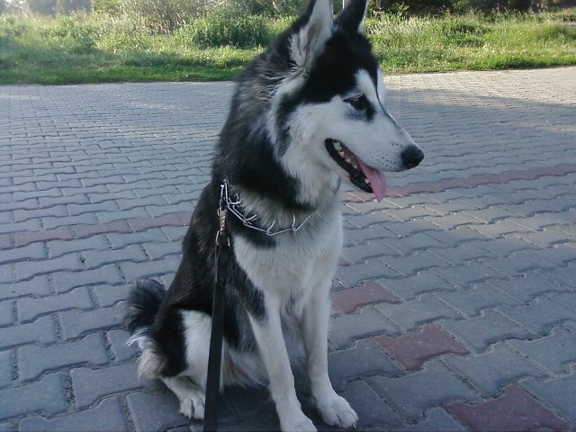 Wpis kajka1999