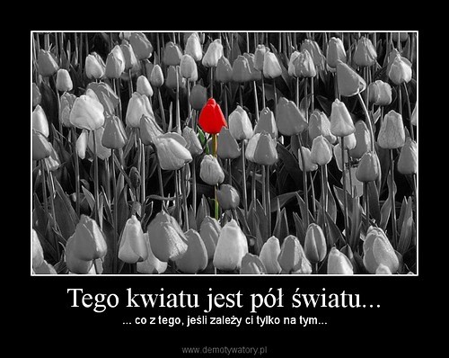 Wpis waldus89