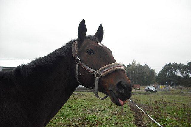                               :P