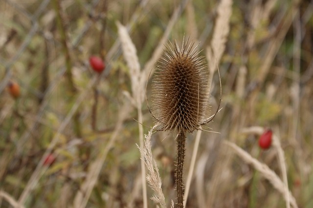 Wpis pomalujtonaczarno