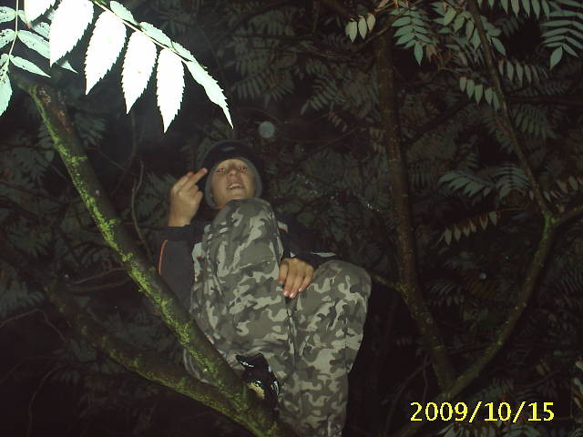 Wpis norbertoo97