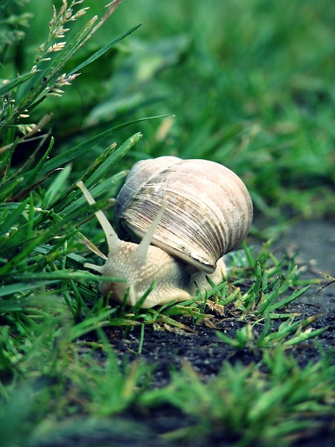 Moje ulubone zdjcie ` Miecio 
