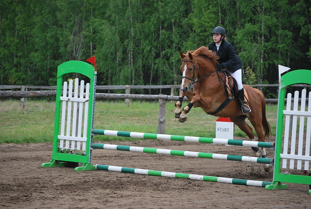 Wpis koniarka0950