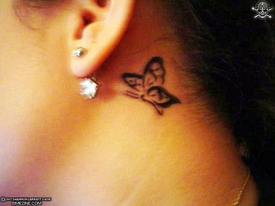butterfly.