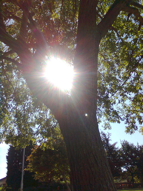 The Sun