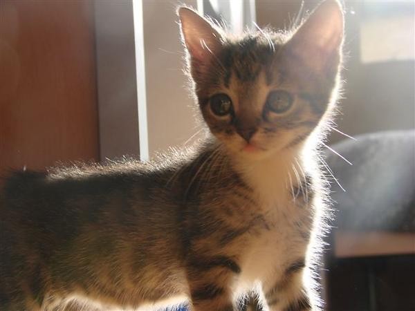 tosiak :)