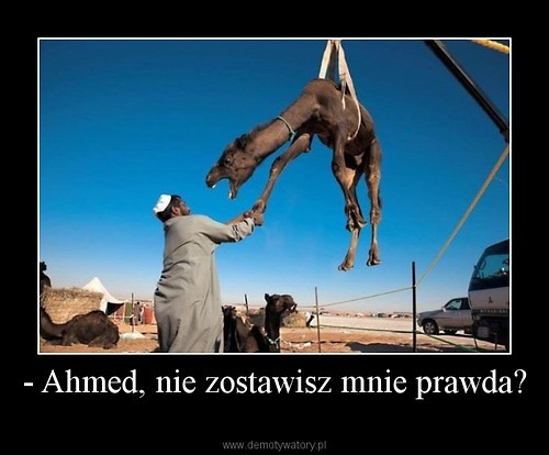 Ha Ha Ha.:D:D sorry musiaam..;P