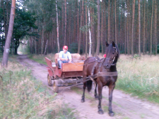Wpis patryk12332