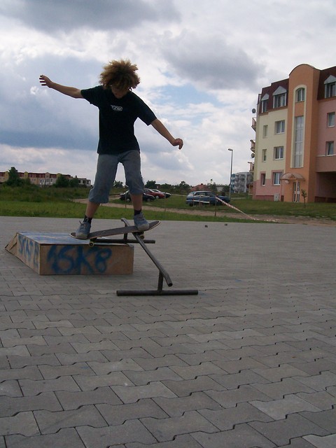 Frycol Boardslide