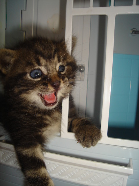 Wpis llllllllllllllll