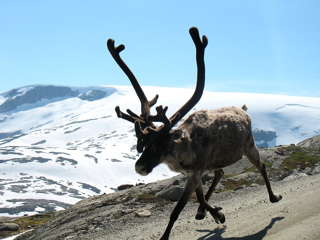 Norge 16