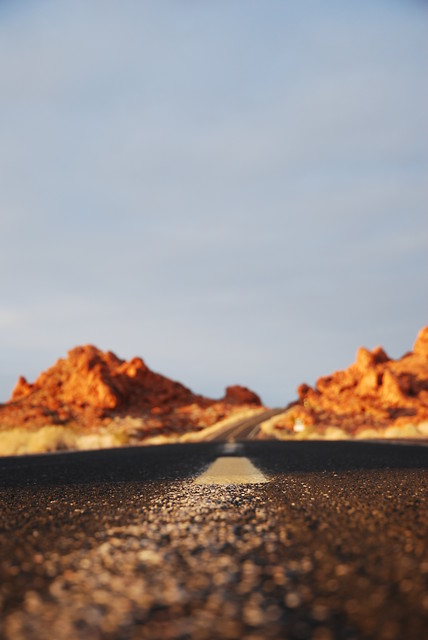 Joshua Tree Park.