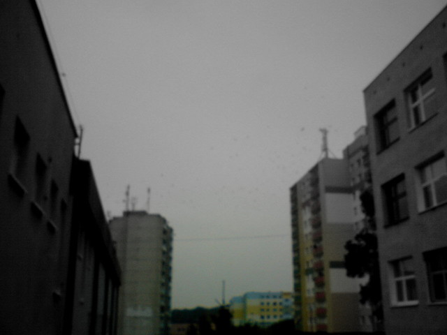 Wpis nieplacz
