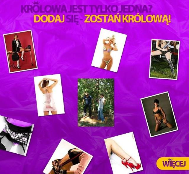 Zostan krlow?