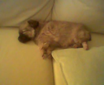trzy lata temu. ;)