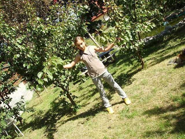 Wpis siema1mosia1jestem