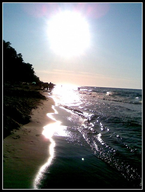 Jastrzbia Gra 2009:) cd