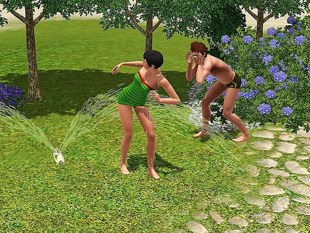 Wpis thexsimsx3