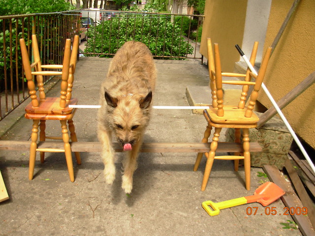 Jzor :P