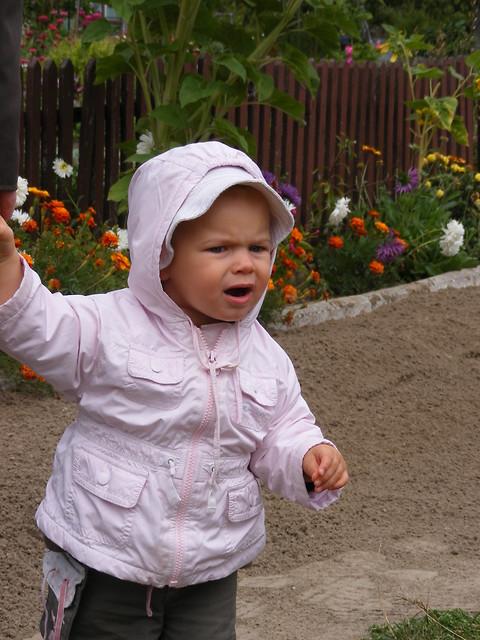 Ponownie Maja,