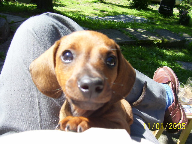 I miss you.!
