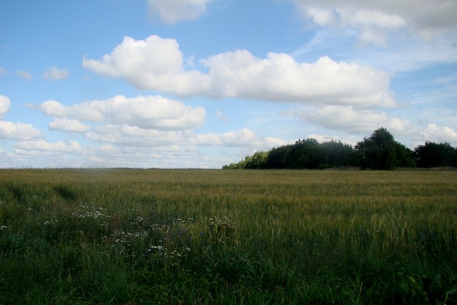 Resko 