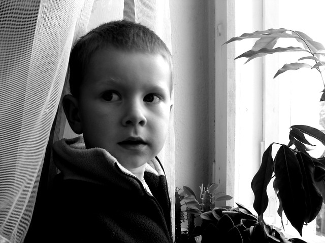 Pelek, najlepszy model.