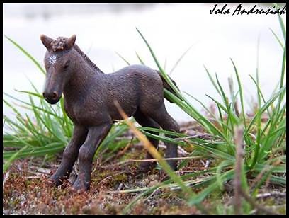 Schleich ;]