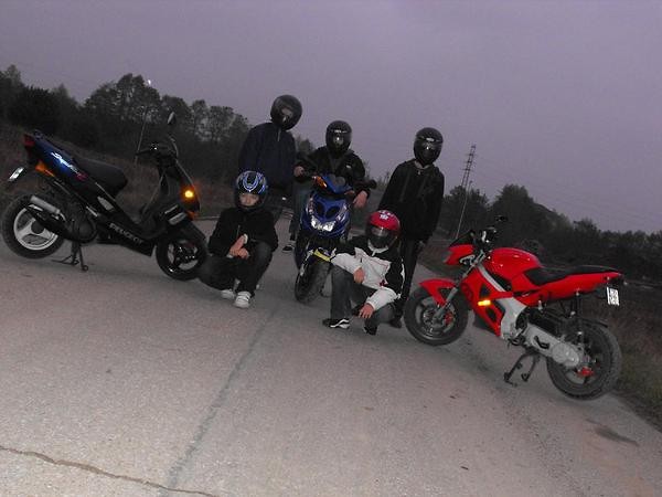 MSC Squad (niepelny) 