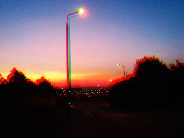 dziewi .