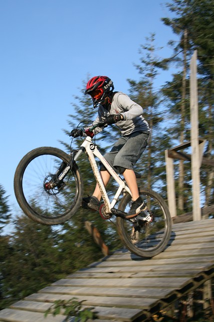 Wpis dobson06