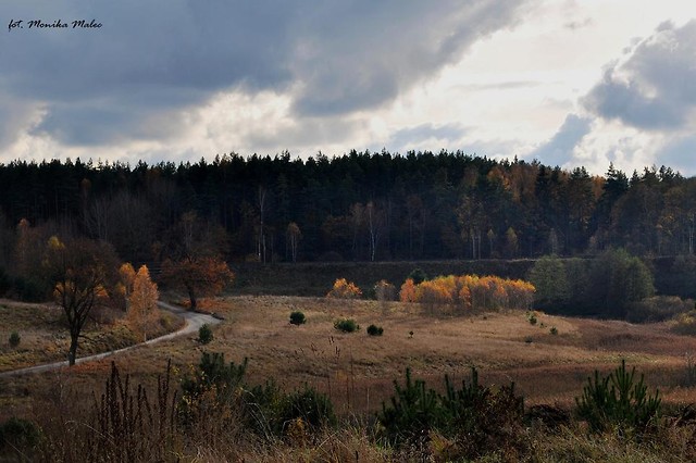 Jesiennie,Dajtkowo-Olsztyn