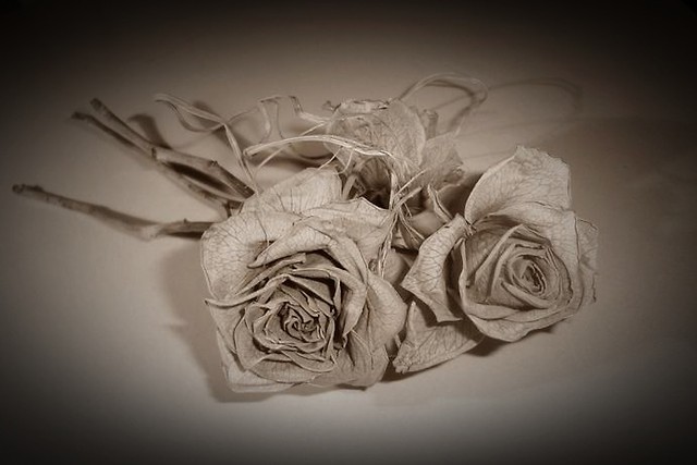 Wpis ladyblackrose