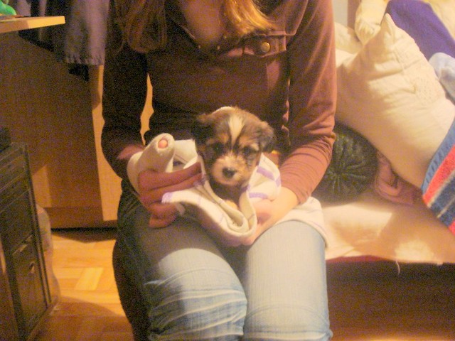 Wpis gosiaczek911