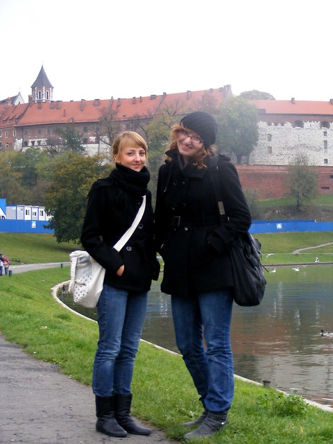 Wpis krogulczyk