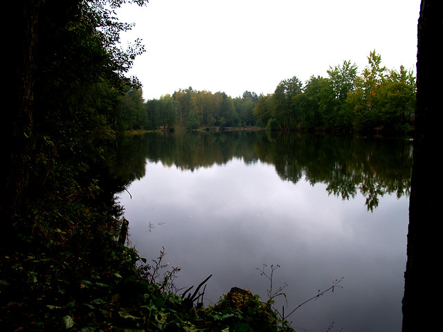 Jeziorko