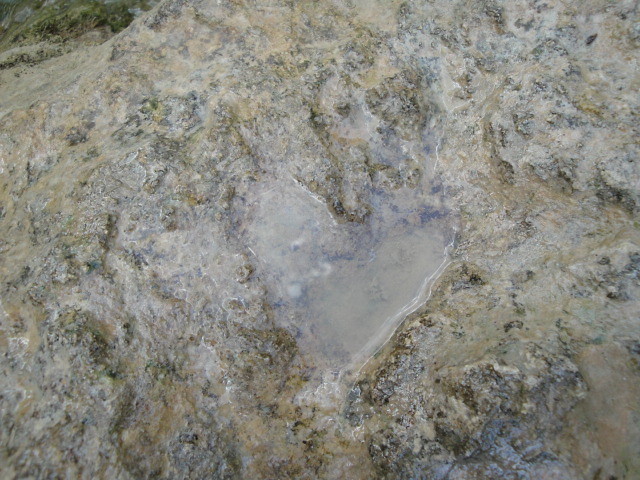 z Medziu.photo by my  :)