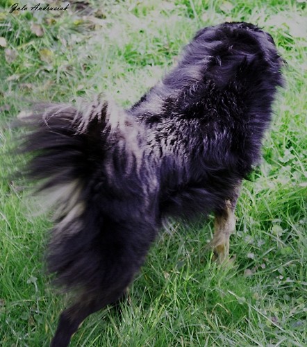 Misiek :*