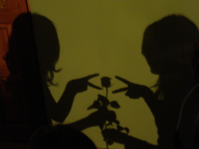 cienie