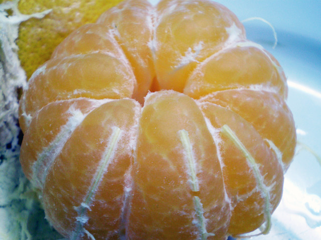 Mandarinka Darinka