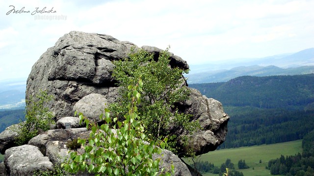 Wpis milusia0907