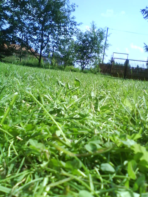 Wpis dresiaq