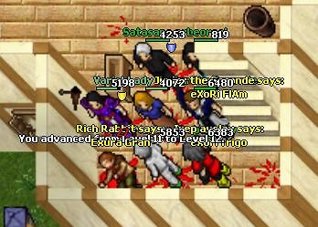 43 PAL