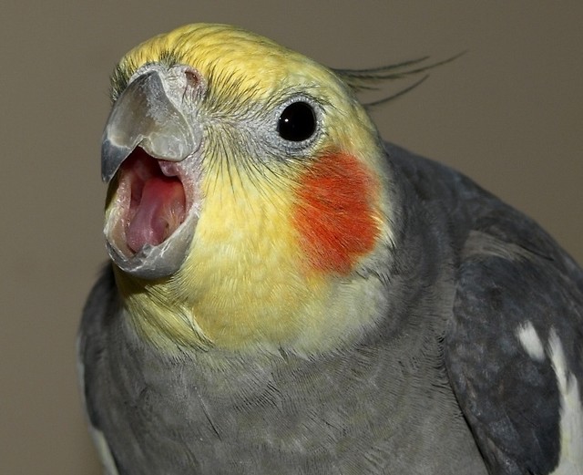 2.
